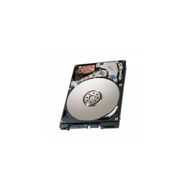 44V6831 IBM 300GB 10000RPM SAS 6Gb/s 2.5-inch Hard Drive