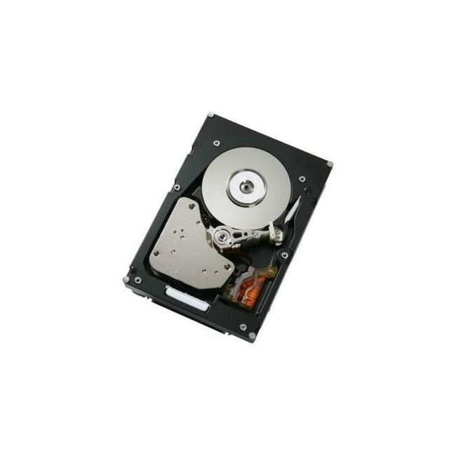 0B24524 Hitachi 300GB 15K RPM 4Gb/s Fibre Channel 64MB Cache 3.5-Inch Hard Drive