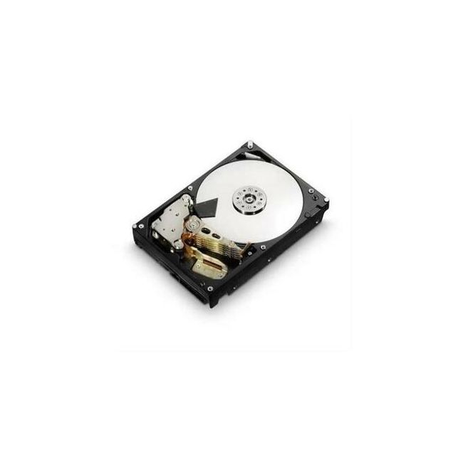 0B23493 Hitachi 300GB 15000RPM Fibre Channel 4 Gbps 3.5 16MB Cache Hard Drive
