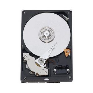 ST9500620SS Seagate Constellation 2.5TB 7.2K RPM 6Gb/s SAS 2.5-Inch SFF Hard Drive