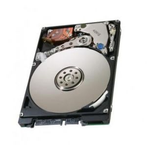 IBM-46H6123-Hard-Drives
