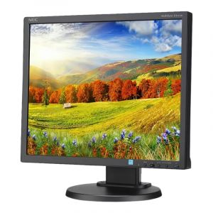 NEC MultiSync EA193MI-BK 19" 25,000:1 6ms LED LCD Monitor