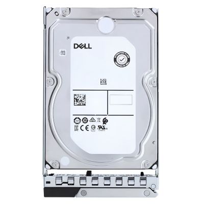 161-BCPP Dell 4TB SAS 12Gbps 7.2K 512n 3.5-inch Hot-Plug NL-SAS HDD with Tray