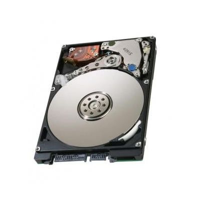 IBM-46H6123-Hard-Drives