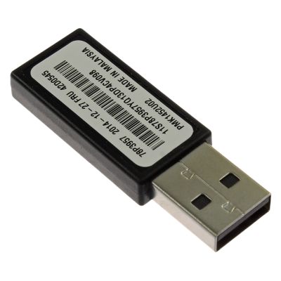 42D0545 IBM Flash Memory for ThinkServer RD220 Type 3798