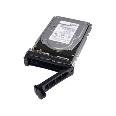Dell R69WP 4kn 6TB 7.2K nl sas 12gbp 3.5in Hot-Plug drive