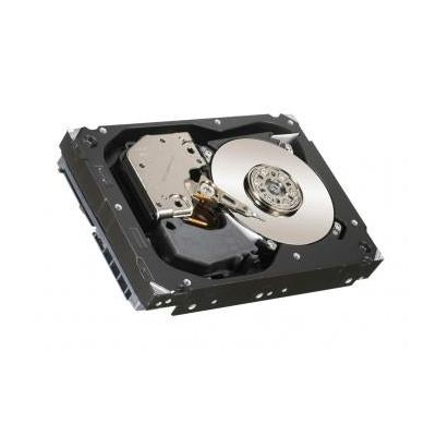Sun-RA-SS1CR-600G15K-Hard-Drives