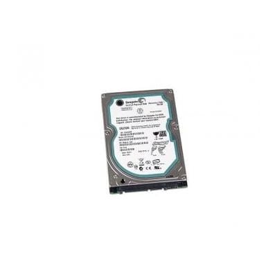 Seagate-ST910021AS-Hard-Drives