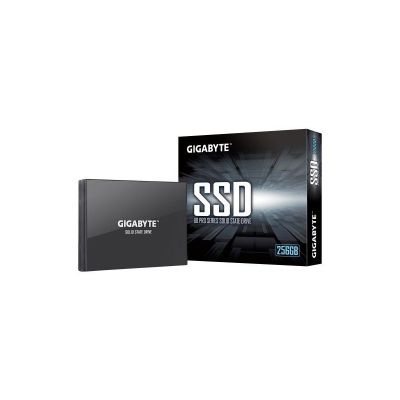 GP-GSTFS30256GTTD Gigabyte 256GB SATA 6Gb/s TLC 2.5-Inch SSD 256MB Cache