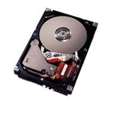 91.AD106.100 Acer 300GB 3.5 SATA 150 7200rpm Internal Hard Drive