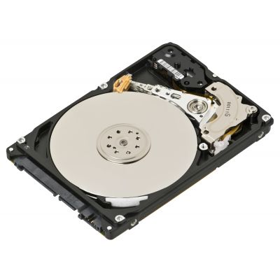 KH.08008.023 Acer 80GB 3.5" SATA/300 7200rpm Internal Hard Drive 8MB Buffer Hot Swappable