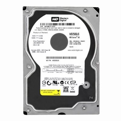 WD2500JS-60NCB1 Western Digital Caviar SE 250GB 7.2K RPM 3Gb/s SATA 512n 8MB Cache 3.5-Inch Hard Disk Drive