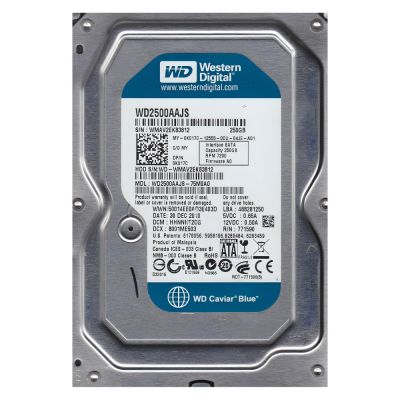 WD2500AAJS-75M0A0 Western Digital Caviar Blue 250GB 7200RPM SATA 3GB/s 8MB Cache 3.5-inch Internal Hard Disk Drive
