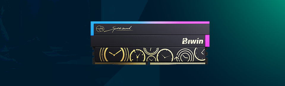 biwin black opal memory module