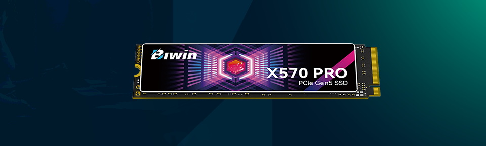 biwin black opal x570 pro