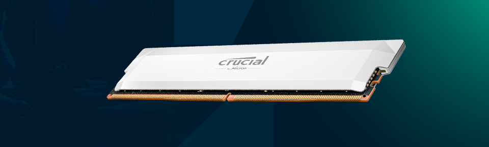 crucial pro overclocking ddr5-6000 white