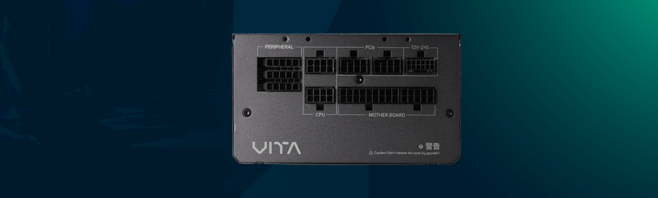 FSP Vita GM 850W PSU ports fsp vita gm 850w psu ports