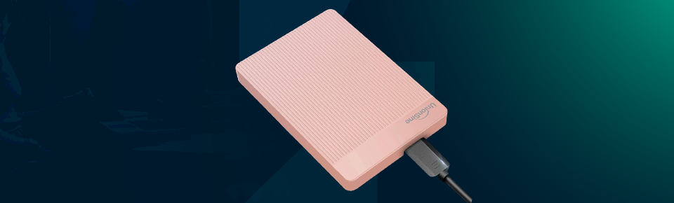 unionsine datapocket external hdd pink