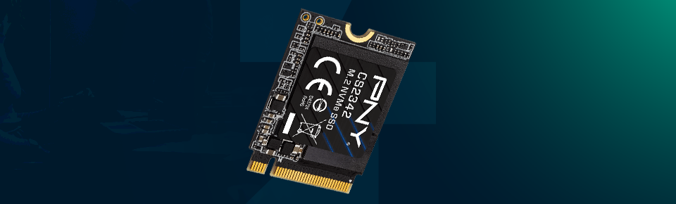 PNY CS2342 SSD pny cs2342