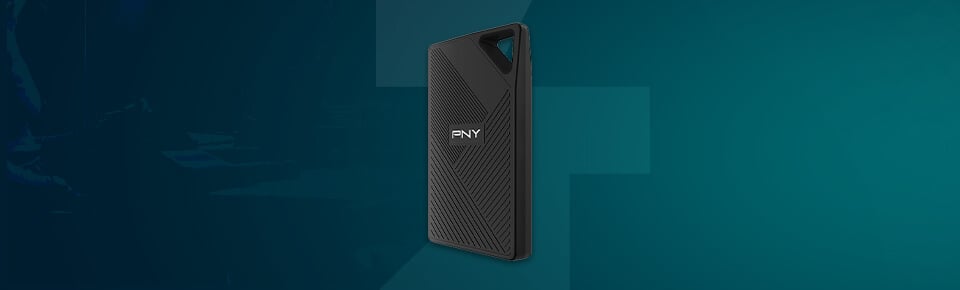 pny rp60 portable ssd