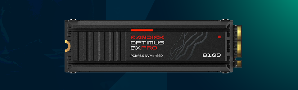 SanDisk Optimus GX Pro SSD sandisk optimus gx pro ssd
